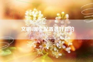 文明6哪个配置最好看的