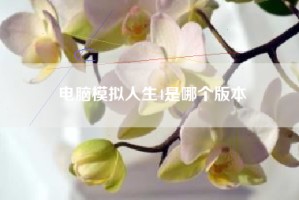 电脑模拟人生4是哪个版本