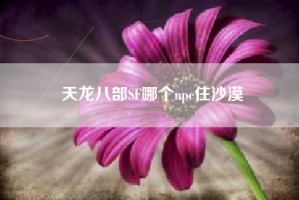 天龙八部SF哪个npc住沙漠
