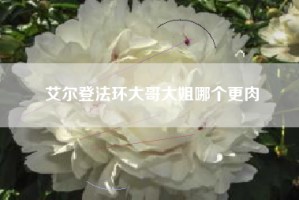 艾尔登法环大哥大姐哪个更肉