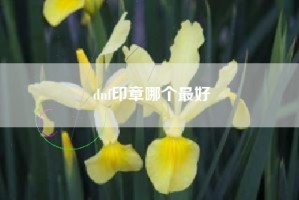 dnf印章哪个最好