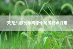 天龙八部发布网哪个防御高点好用