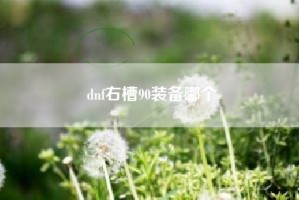 dnf右槽90装备哪个