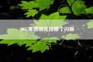 2077赛博朋克按哪个闪躲
