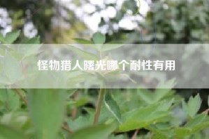 怪物猎人曙光哪个耐性有用