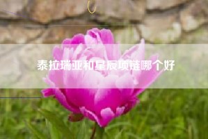 泰拉瑞亚和星辰项链哪个好