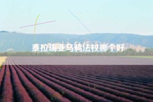 泰拉瑞亚乌鸦法杖哪个好