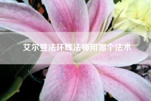 艾尔登法环辉法师用哪个法术