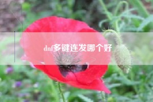 dnf多键连发哪个好