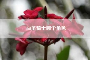 dnf圣骑士哪个角色