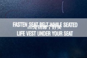 dnf宠物哪个好买