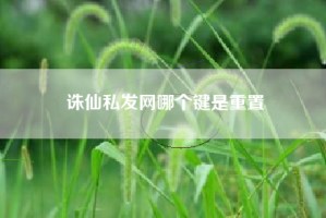 诛仙私发网哪个键是重置