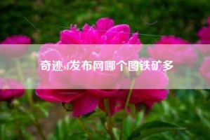 奇迹sf发布网哪个图铁矿多