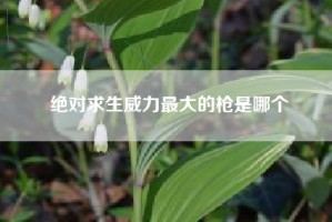 绝对求生威力最大的枪是哪个