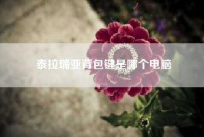 泰拉瑞亚背包键是哪个电脑