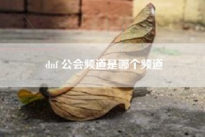 dnf 公会频道是哪个频道