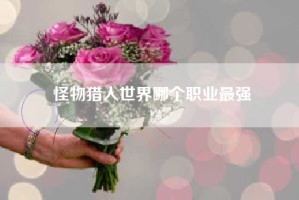 怪物猎人世界哪个职业最强