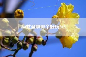 dnf女圣职哪个好玩2021