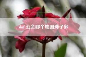 dnf 公会哪个地图珠子多