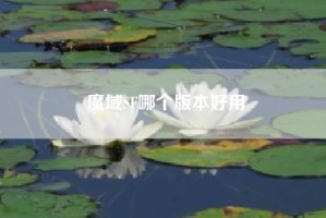 魔域SF哪个版本好用