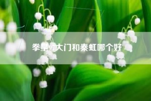 拳皇97大门和秦虹哪个好