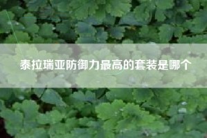 泰拉瑞亚防御力最高的套装是哪个