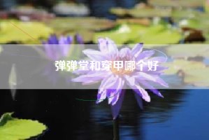 弹弹堂和穿甲哪个好