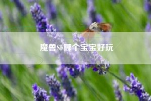 魔兽SF哪个宝宝好玩