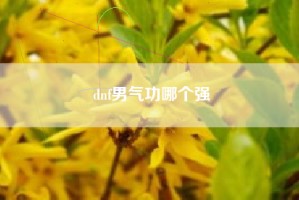 dnf男气功哪个强