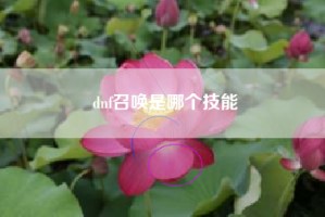 dnf召唤是哪个技能