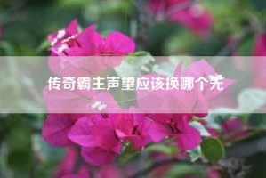 传奇霸主声望应该换哪个先