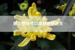 哪个软件可以录制地铁逃生