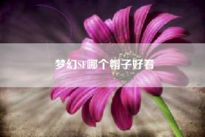 梦幻SF哪个帽子好看