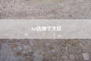 dnf选哪个大区