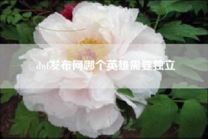 dnf发布网哪个英雄需要独立