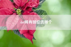 dnf稀有部位选哪个