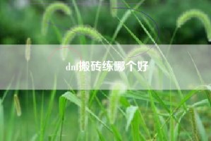 dnf搬砖练哪个好