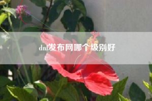 dnf发布网哪个级别好
