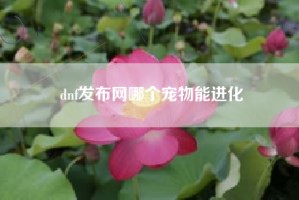 dnf发布网哪个宠物能进化