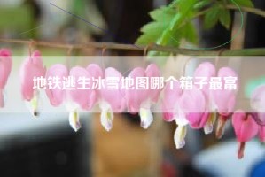 地铁逃生冰雪地图哪个箱子最富