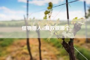 怪物猎人ol麻双做哪个