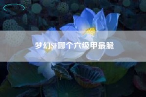梦幻SF哪个六级甲最脆