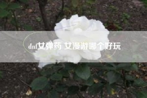 dnf女弹药 女漫游哪个好玩