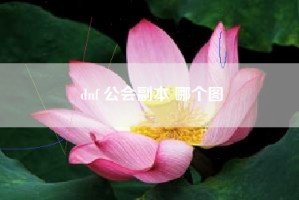 dnf 公会副本 哪个图