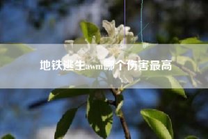 地铁逃生awm哪个伤害最高