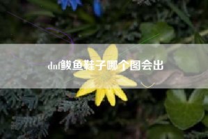 dnf鲅鱼鞋子哪个图会出