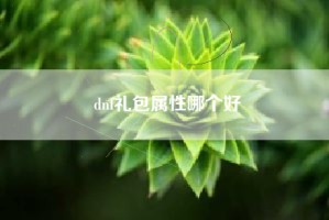 dnf礼包属性哪个好