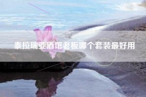 泰拉瑞亚酒馆老板哪个套装最好用