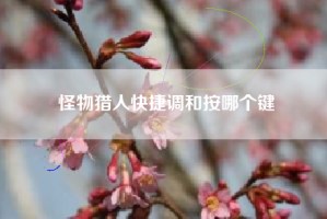 怪物猎人快捷调和按哪个键