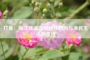 打鱼：海洋资源的可持续利用与渔民生活的变迁